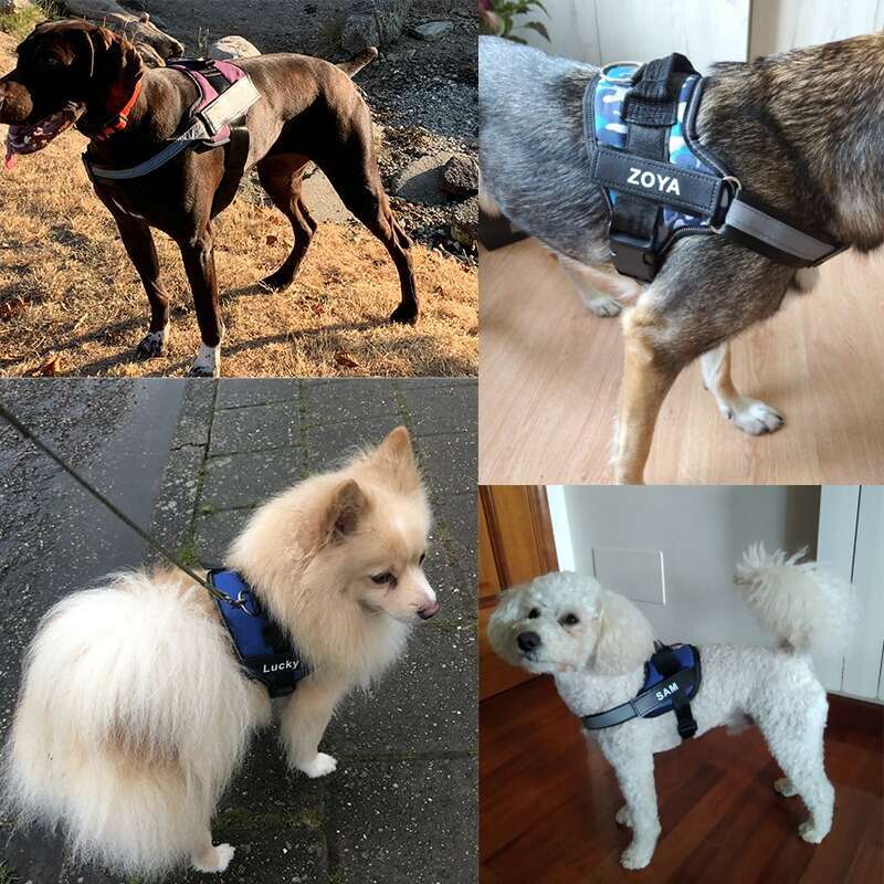 Personalized dog without tension, small reflective harness vest, French Bulldog ID patch pet supplies