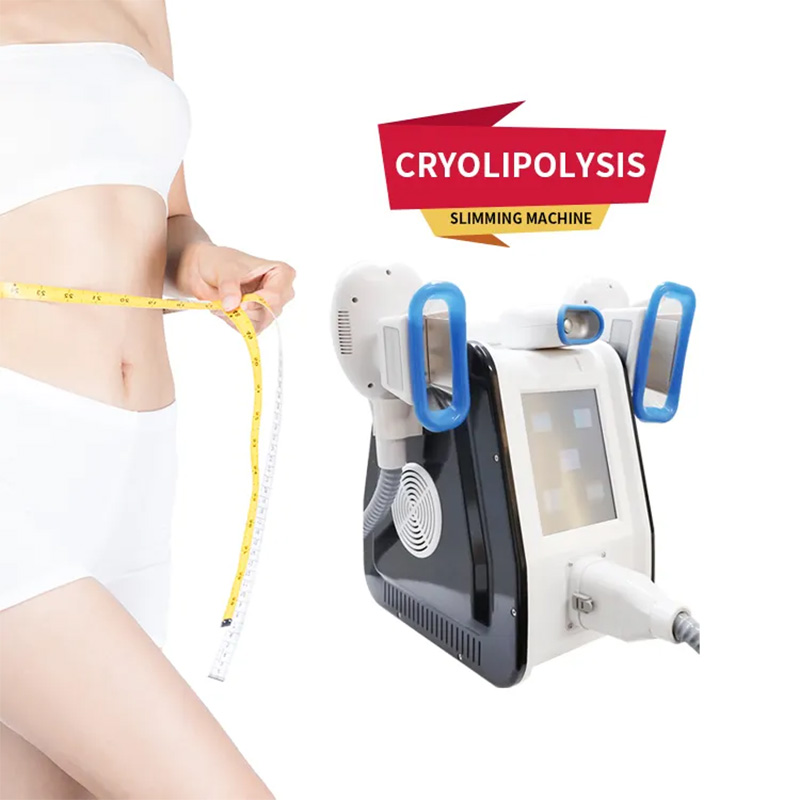 OEM&ODM three Handle Fat Freezing Cryolipolisis 360 Body Sculpt Machines Fat Removal Butt Sculpt Device Personal Use Cryalipolysas Machine