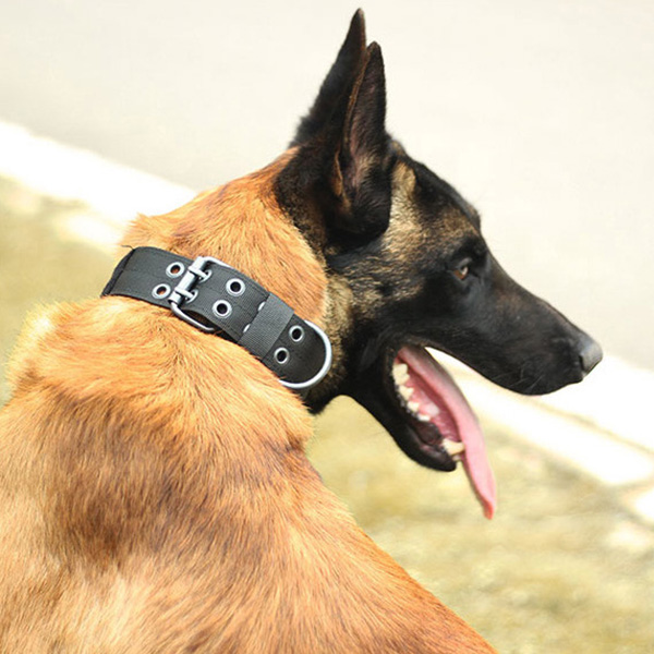 Halloween Cross-border tactical collar explosion-proof impact five-speed adjustment Golden Maud medium and large dog nylon leash pet collar