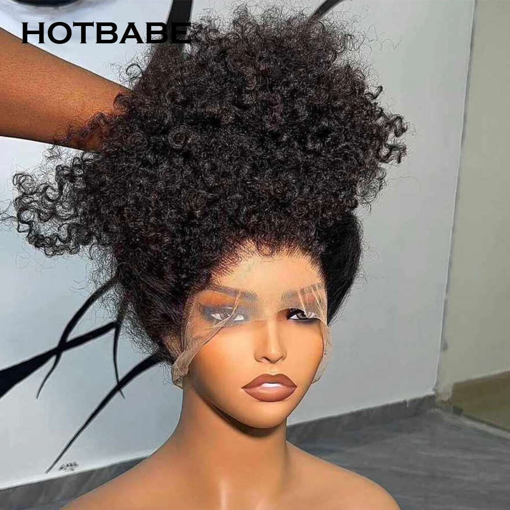 High 400 Density 13x4/13x6 HD Wig Preplucked Kinky Curly Transparent Lace Frontal Human Hair Wigs HOTBABE