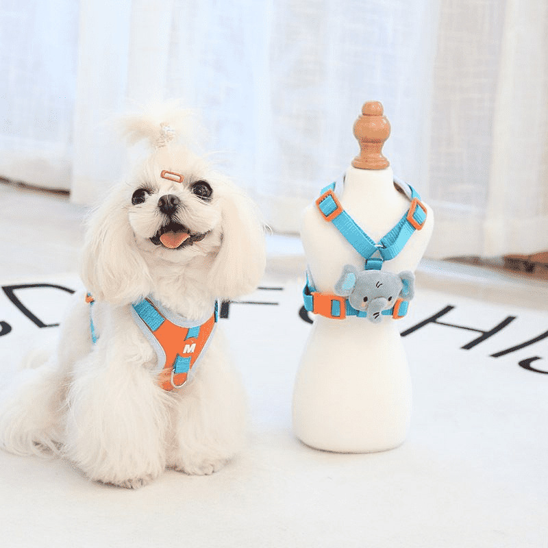 Halloween Kitten leash chest strap set Small dog chest back pet ducklings vest dog pet supplies