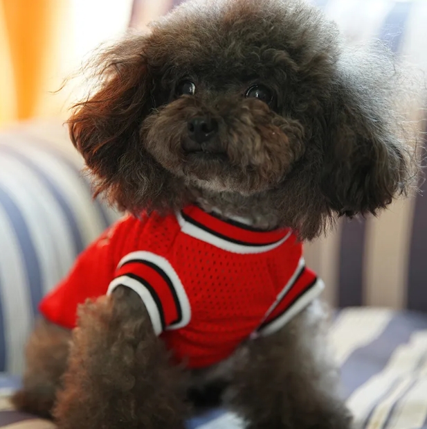 Dog Cooling Vests Basketball Team Uniform Mesh Breathable T-Shirt pet Apparel Puppy Sportswear Spring Summer Fashion Dog Shirt.
