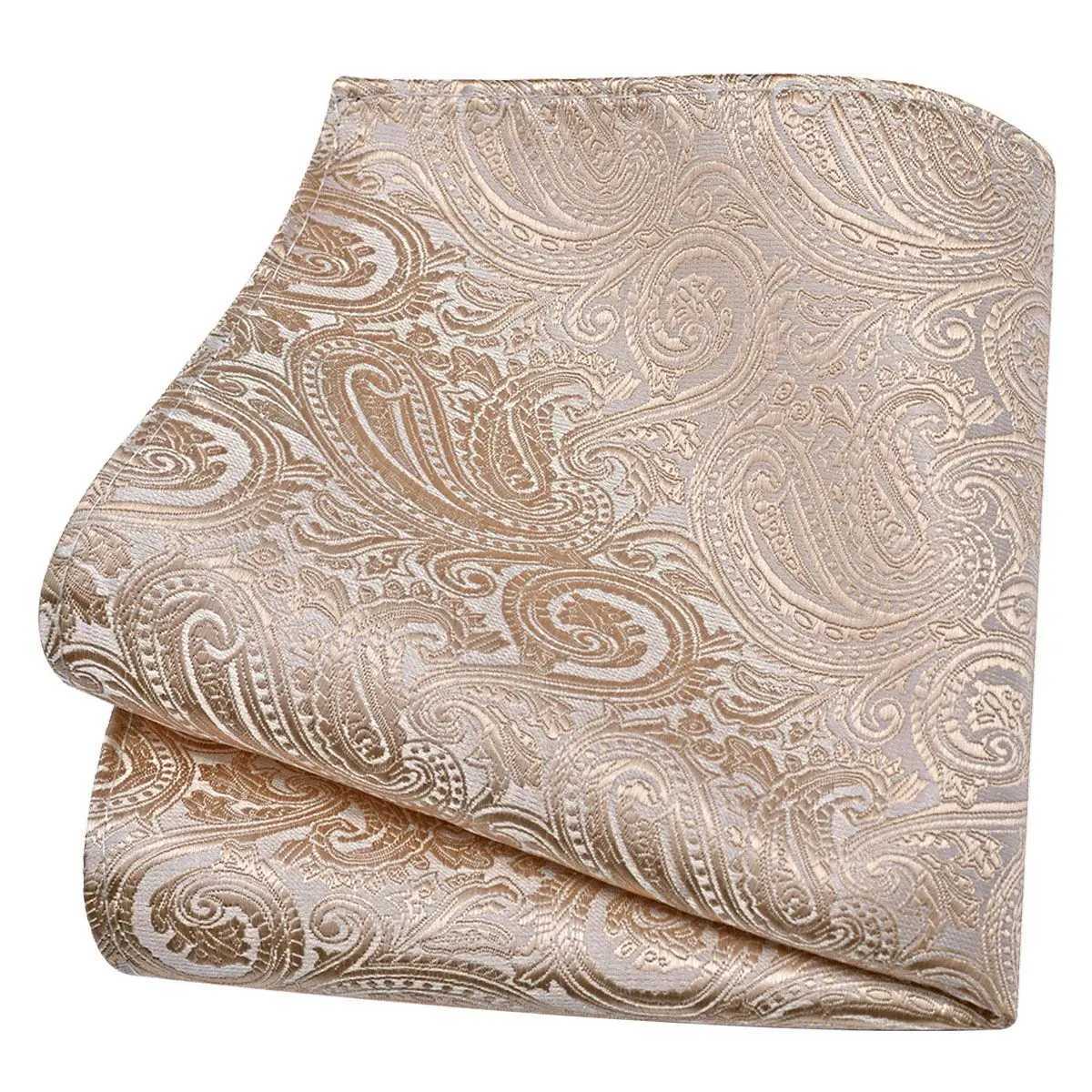 Ricnais Classic Silk Pattern Handle 25cm * 25cm Hanky Green Red Purple Orange Pocket Square Mens Wedding Business Party W240921