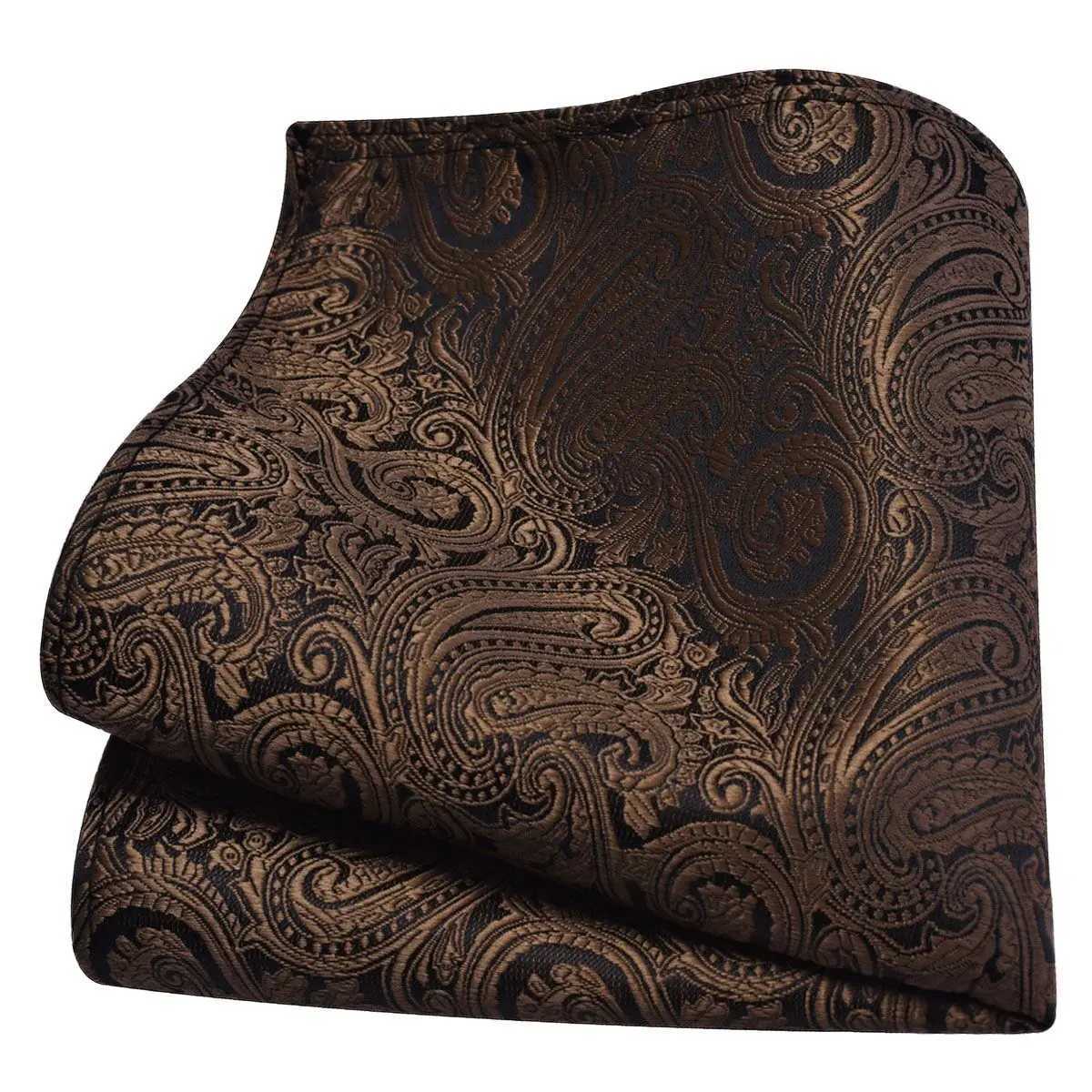 Ricnais Classic Silk Pattern Handle 25cm * 25cm Hanky Green Red Purple Orange Pocket Square Mens Wedding Business Party W240921