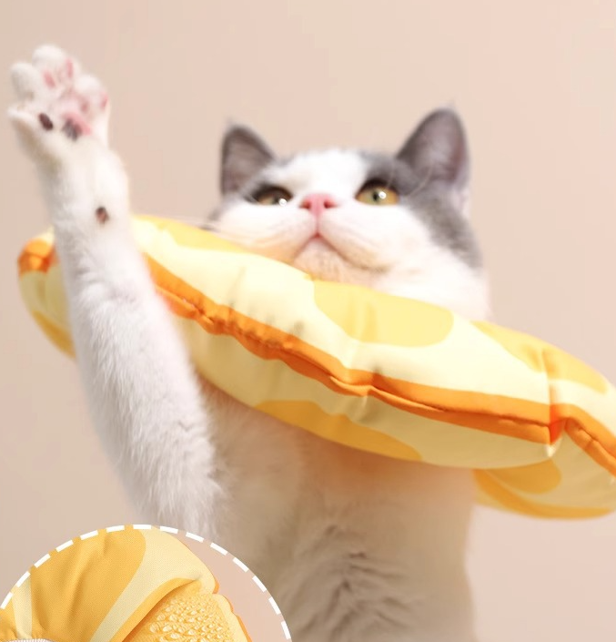 Halloween Lick-bite resistant Elizabeth Ring Waterproof Shame Ring Cat collar Cat Small to medium dog neck pet supplies