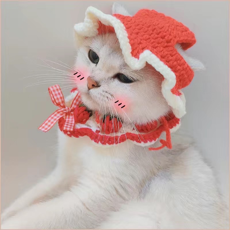 Halloween Cross border cat wool knitted hat small dog hand-crocheted