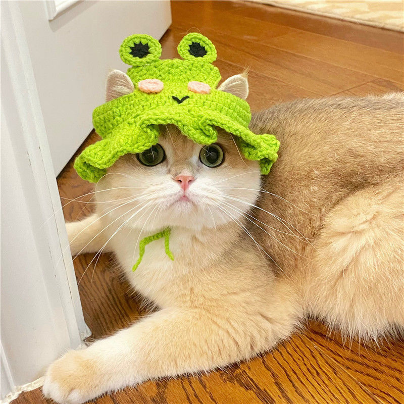 Halloween Cross border cat wool woven hat Small dog hand-crocheted funny cute decorative dog accessories headwear