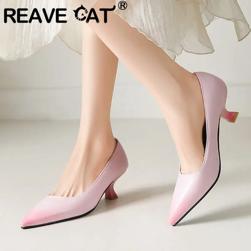 REAVE CAT Fashion Female Pumps 31 32 Pointed Toe Small Heel 6.5cm Slip On Mixed Color Plus Size 44 45 Office Lady Spring Shoes 240921