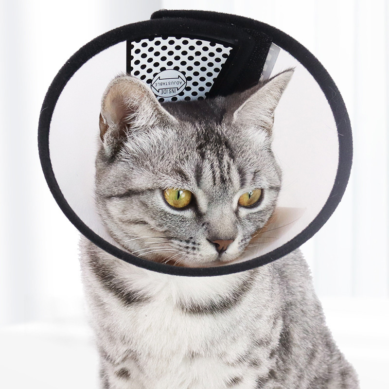Halloween Eliza Circle pet Shield Protective Cover Cat Dog Grooming cover Anti-bite ring Pet collar cat