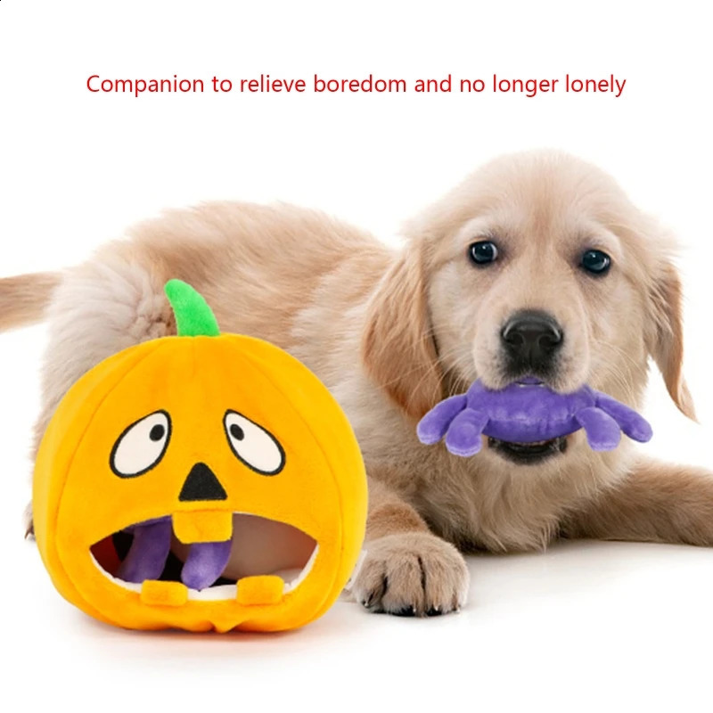 Halloween Interactive Dog Toy Hide and Seek n Puppy Toy Creaking Dog Teeth Pet Plush Toy Pumpkin Spider with Bat 240914