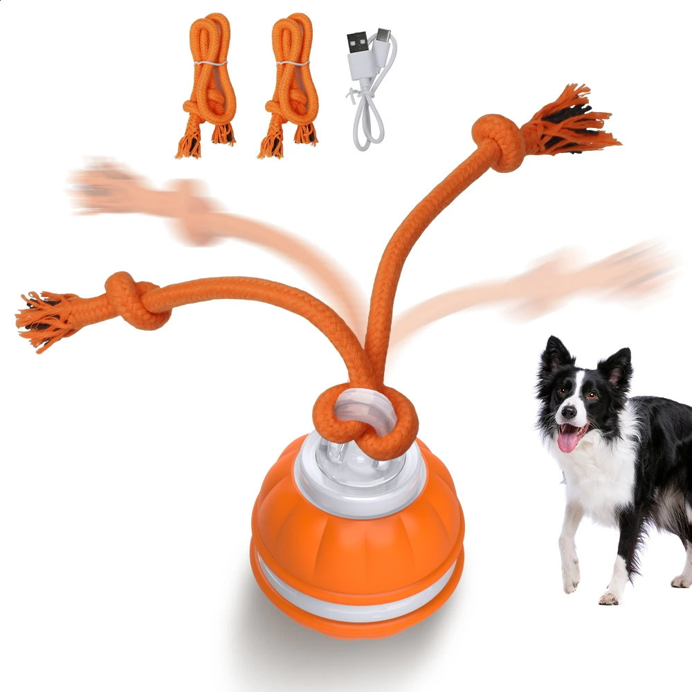 Interactive dog toy ball sports activation intelligent dog toy automatic movement teasing ball puppy cleaning teeth chewing toy knot rope 240914