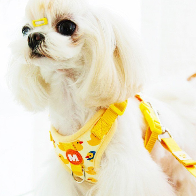 Halloween Kitten leash chest strap set Small dog chest back pet ducklings vest dog pet supplies