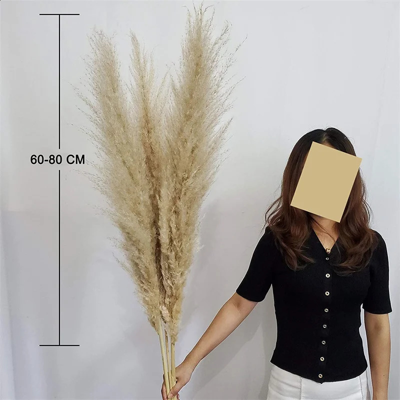 120cm white natural Pampas grass decoration high beige large dry for Bohemian wedding flower arrangement garden family room 240919
