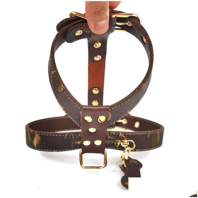 Baroque Harnesses Ins Fashion Durable Leather Pets Harness