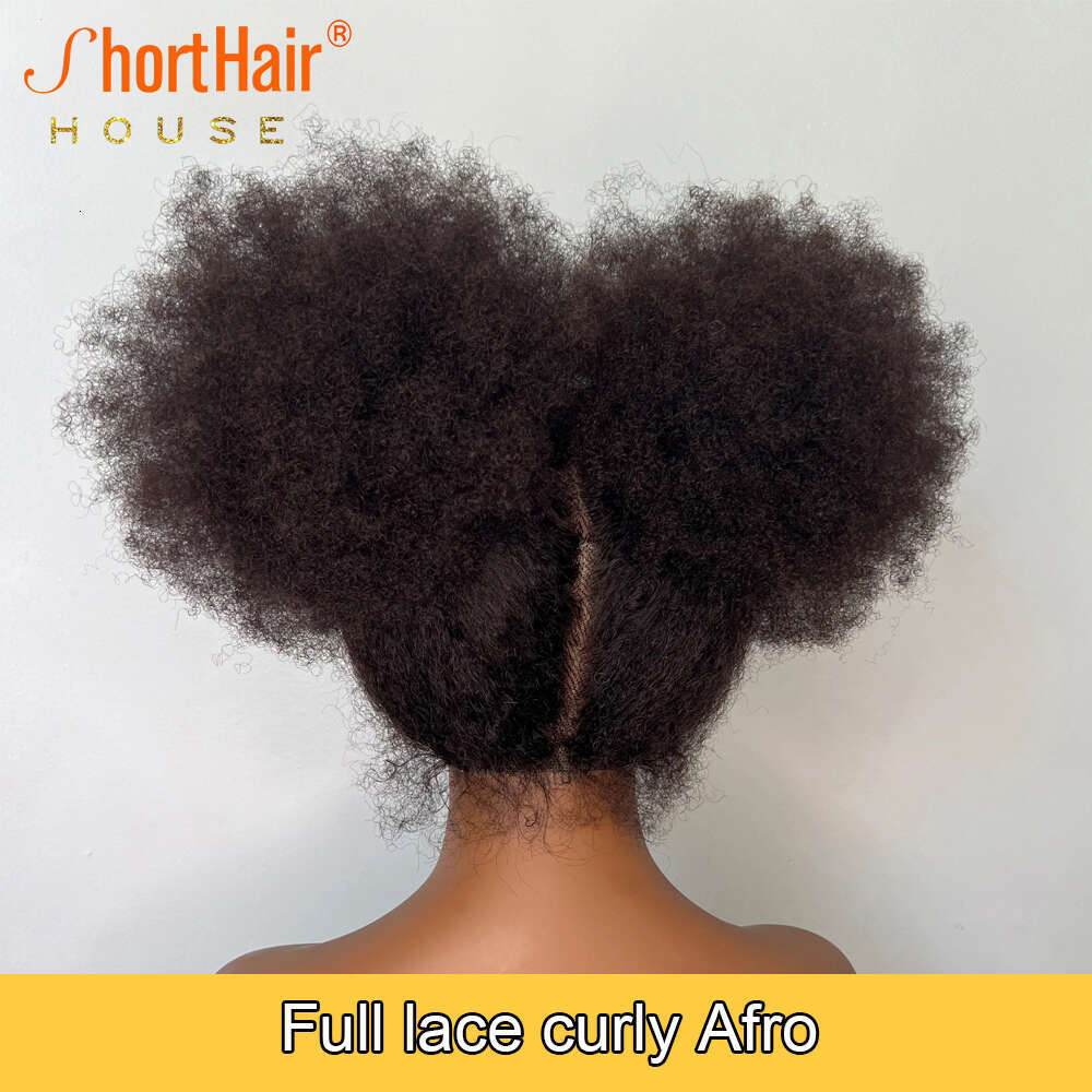 Afro Curly Full Human Hair With 4B Haire Invisible 360 Lace Frontal Wigs for Women Brazilian Wig 250 Density Fluffy