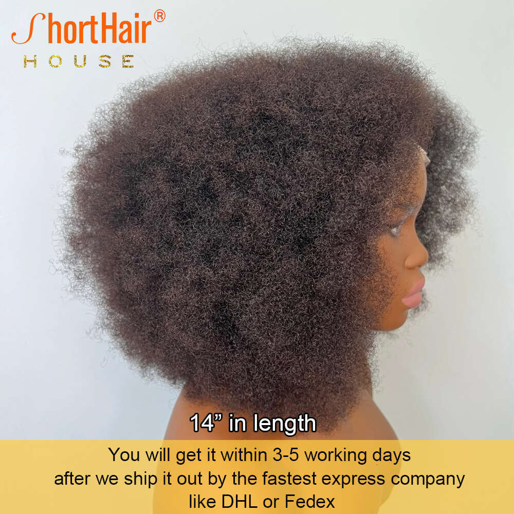 Afro Curly Full Human Hair With 4B Haire Invisible 360 Lace Frontal Wigs for Women Brazilian Wig 250 Density Fluffy