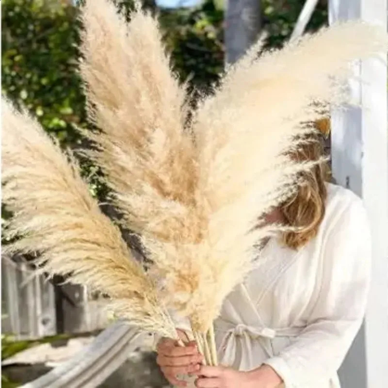 120cm white natural Pampas grass decoration high beige large dry for Bohemian wedding flower arrangement garden family room 240919