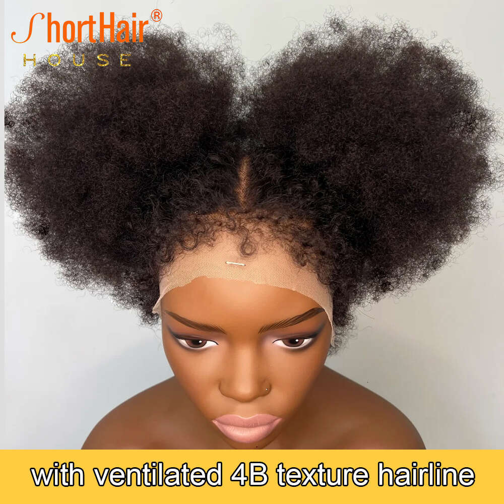 Afro Curly Full Human Hair With 4B Haire Invisible 360 Lace Frontal Wigs for Women Brazilian Wig 250 Density Fluffy