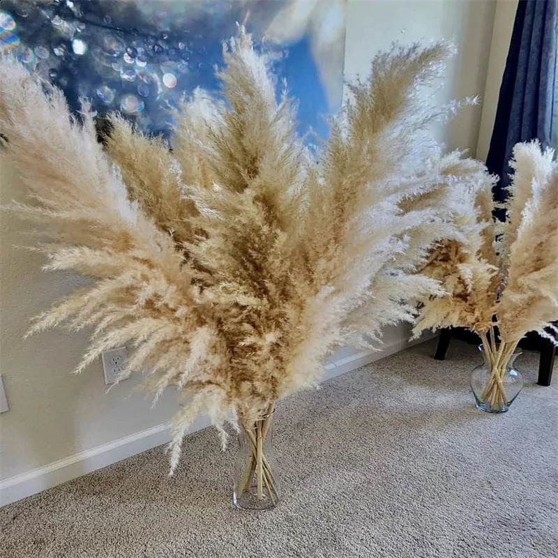 120cm white natural Pampas grass decoration high beige large dry for Bohemian wedding flower arrangement garden family room 240919