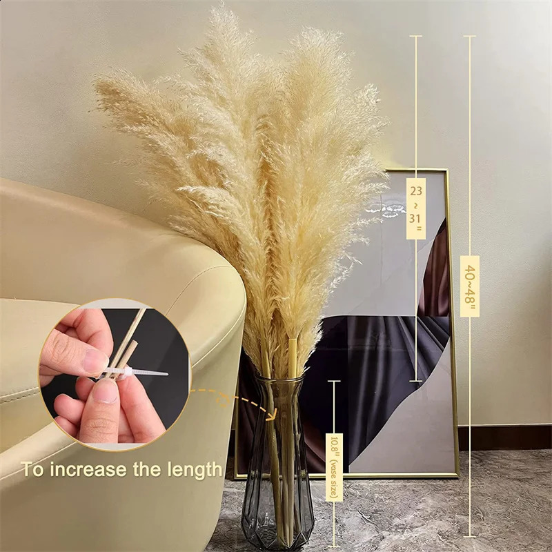 120cm white natural Pampas grass decoration high beige large dry for Bohemian wedding flower arrangement garden family room 240919