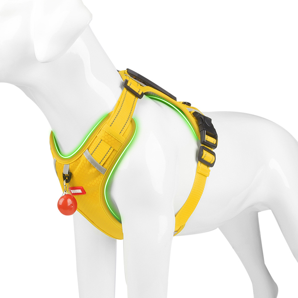 Trendsetting Strong-Friction Puppy Safety Gear - Breathable Fabric Adjustable Harness