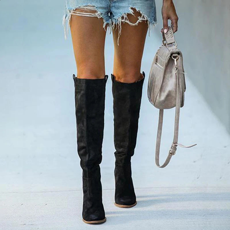 Women Suede Knee High Boots Ladies Solid Pointed Toe Tall Boots Retro Roman High Heels Shoes Female Autumn Winter Long Boot 240921