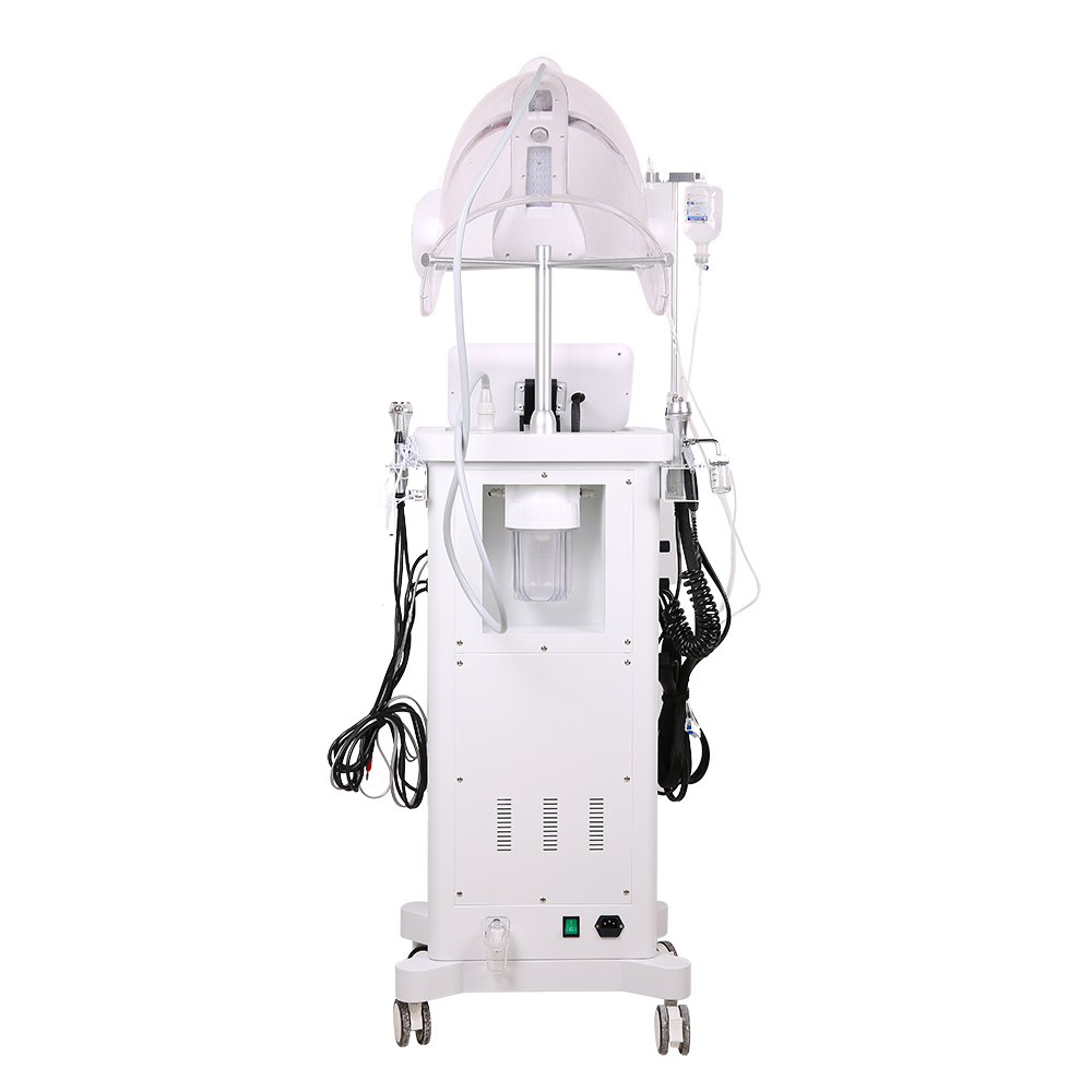 Upgrade beauty Management 10 in 1 Photodynamic Oxygen Mask Anti-acne Wrinkle Removal H2O2 Microdermabrasion Face Aqua Peeling Bubble Face Beauty Machi