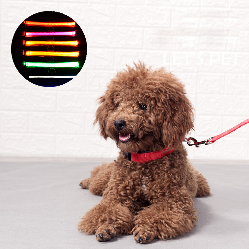 LED Pet Lights Collar, Nylon Adjustable Night Safety Flashing Glow In The Dark Dog Leash, Dogs Hair Fluorescent Collars S