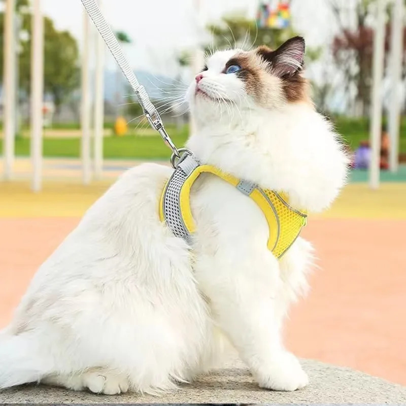 tytytyty Cat Breathable Harness and Belt Set Cats Pet Products Accessories Necklace Collar Stuff Pets Supplies Home