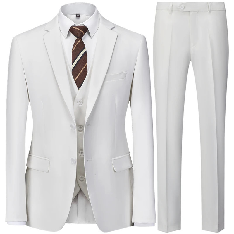 Fashion Mens Wedding Solid Color Casual Business Suit 3 Pieces Set Male Two Button Blazers Trousers Pants Vest Waistcoat 240923