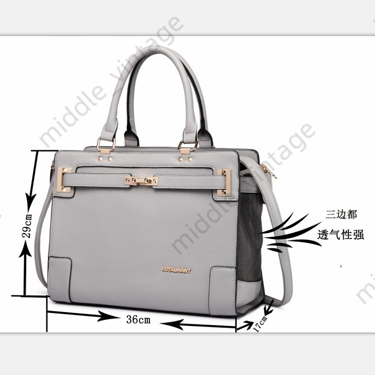 Ins Same Trendy Brand PU Material Portable Fashion Dog Poodle Chihuahua Outing Breathable Mesh Pet Bag