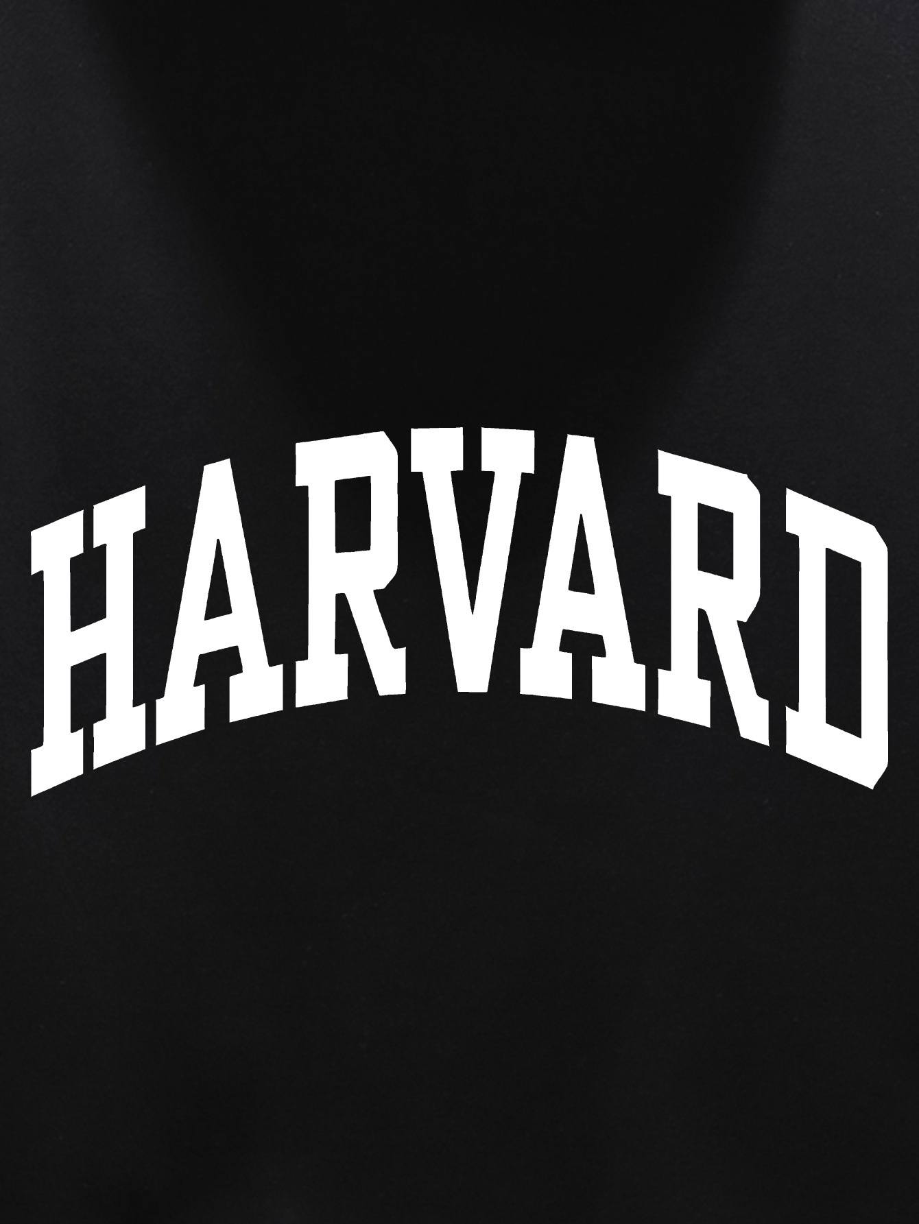 Harvard Youth Autumn & Winter Plush Sweater - Men's Clothing, Free Hoodie, Boy's Clothing, American Fashion, Printed Top, Men's Gift