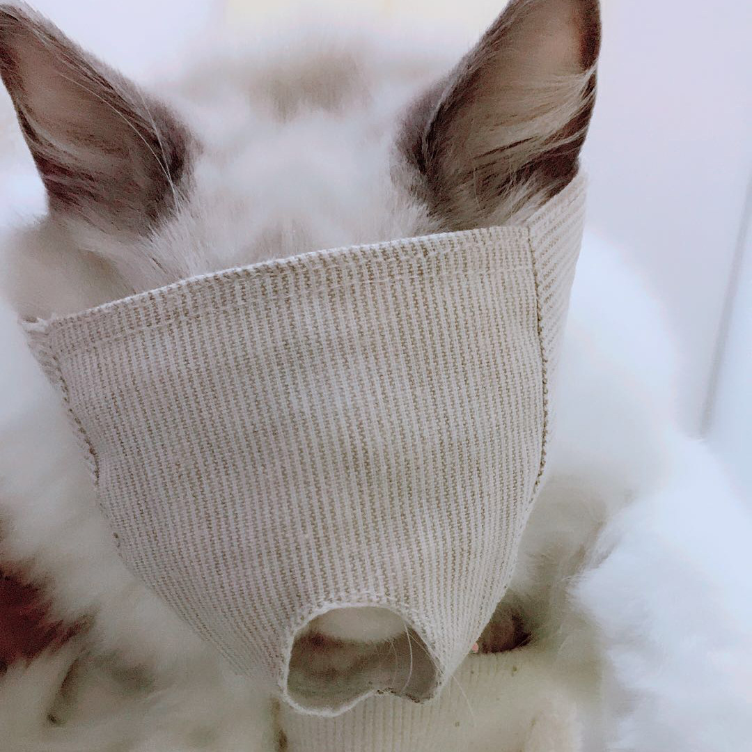 Cat eye mask cat eye pointing assistance tool cotton cloth soft and breathable mask anti bite and anti barking manufacturer in stock