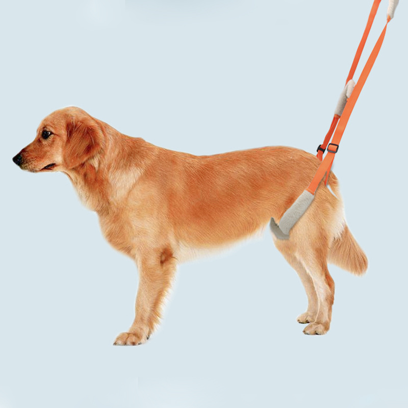 New pet portable power assist belt dog stair assist belt pet lifting rehabilitation training belt