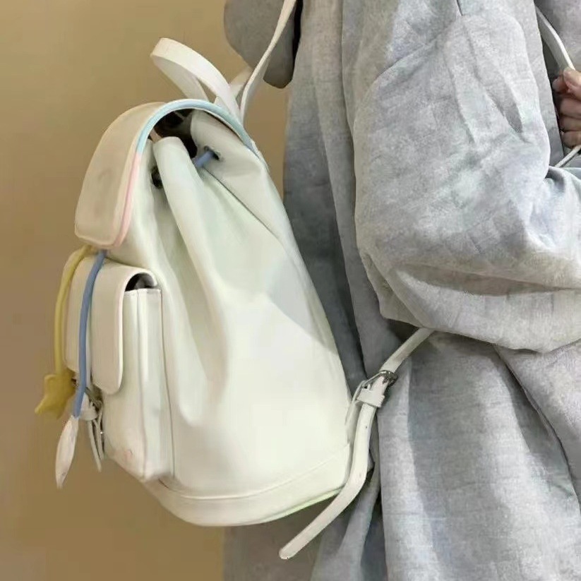 Niche Design 2024 New Designer Backpack Autumn/Winter Travel Bag Student Class Large Capacity Super Cute Female Backpack