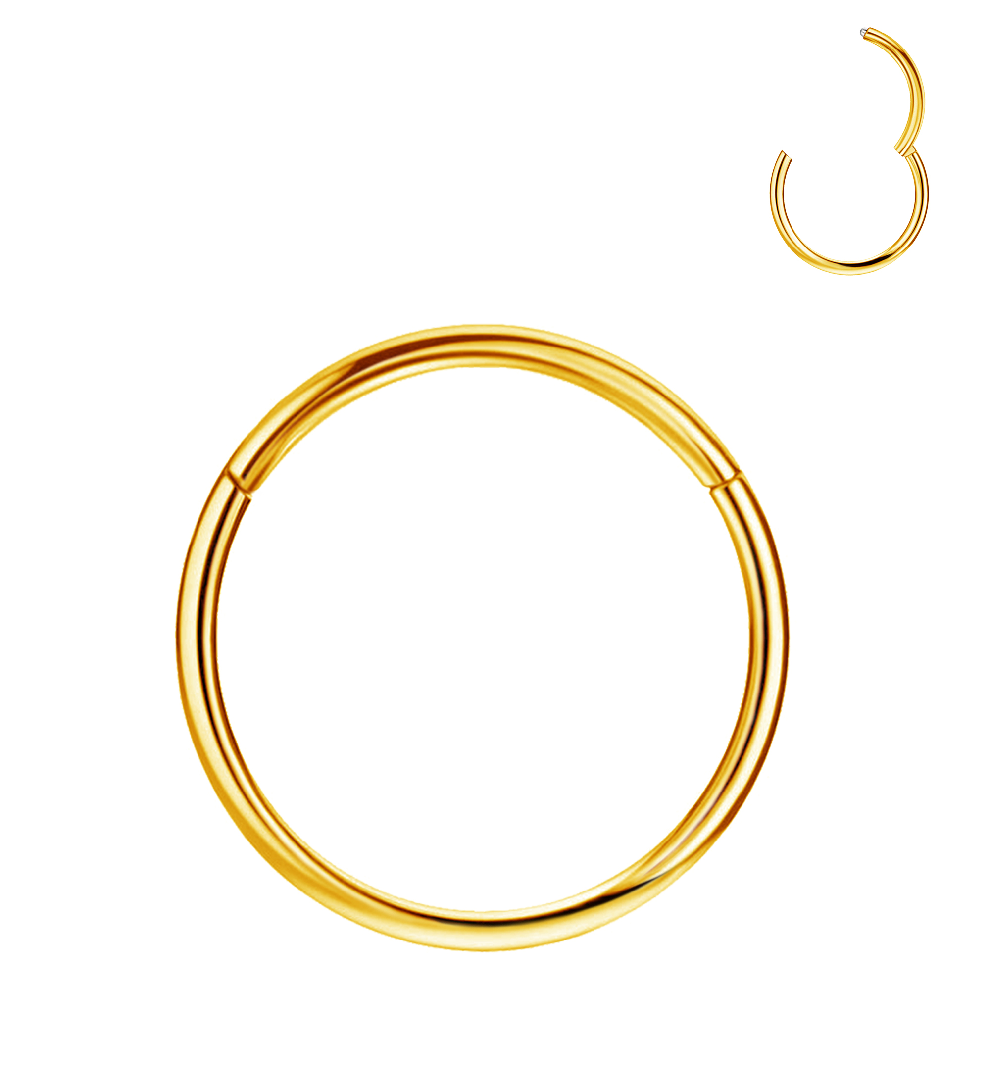 TUPMI Titanium Nose Rings Hoops 20G Hinged Nose Piercing Hoop G23 Septum Click Nose Rings Lip Rook Lobe Tragus Helix Daith Conch Cartilage Hoop Earrin