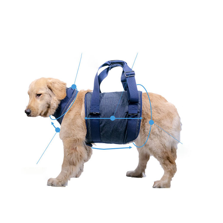 Hand-Carry Assist Chest Strap for Senior Dogs - Pet Leash & Harness Combo