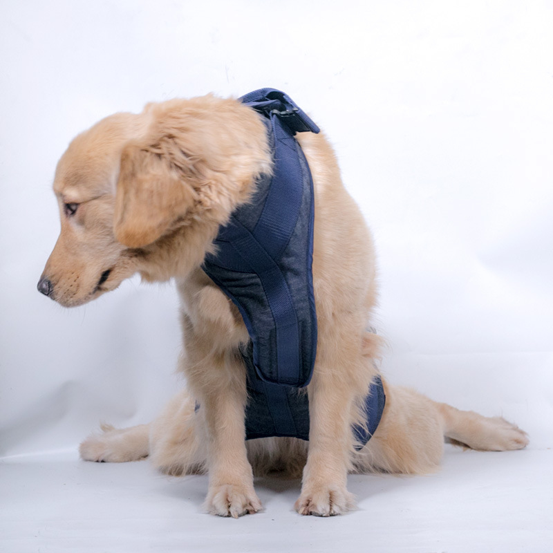 Hand-Carry Assist Chest Strap for Senior Dogs - Pet Leash & Harness Combo