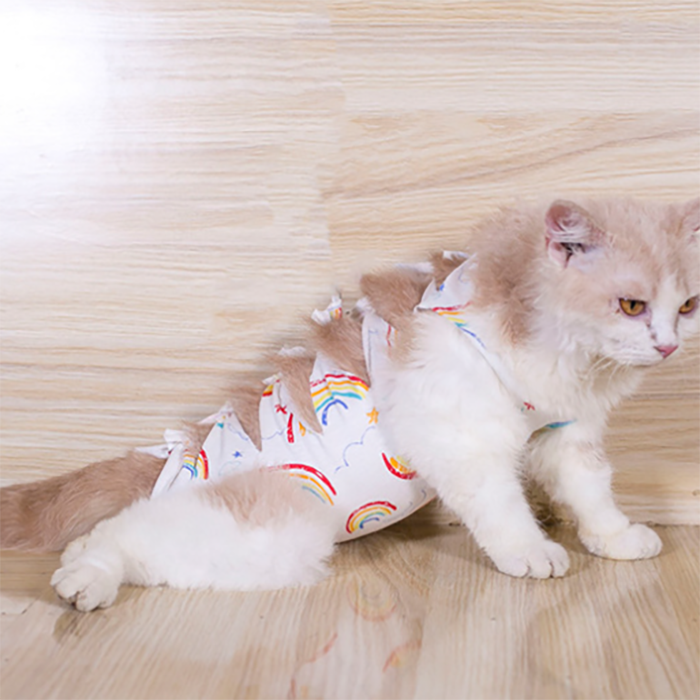 Hallowmas New banded neutering clothes cat neutering clothes surgery clothes weaning clothes cotton breathable after clothing manufacturers