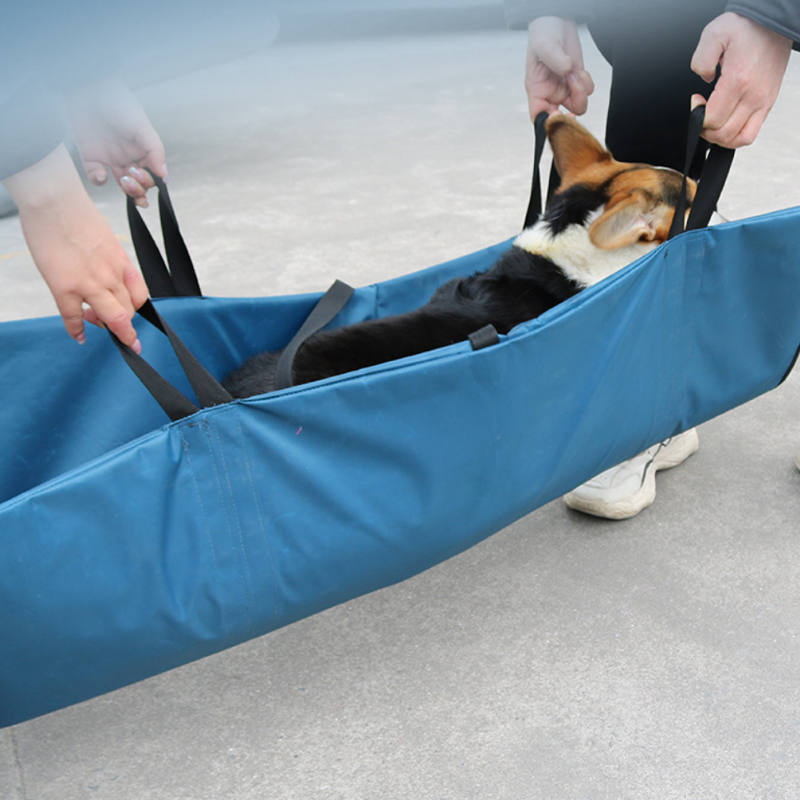Amazon's new pet stretcher animal bite prevention and rescue stretcher pet foldable portable emergency stretcher