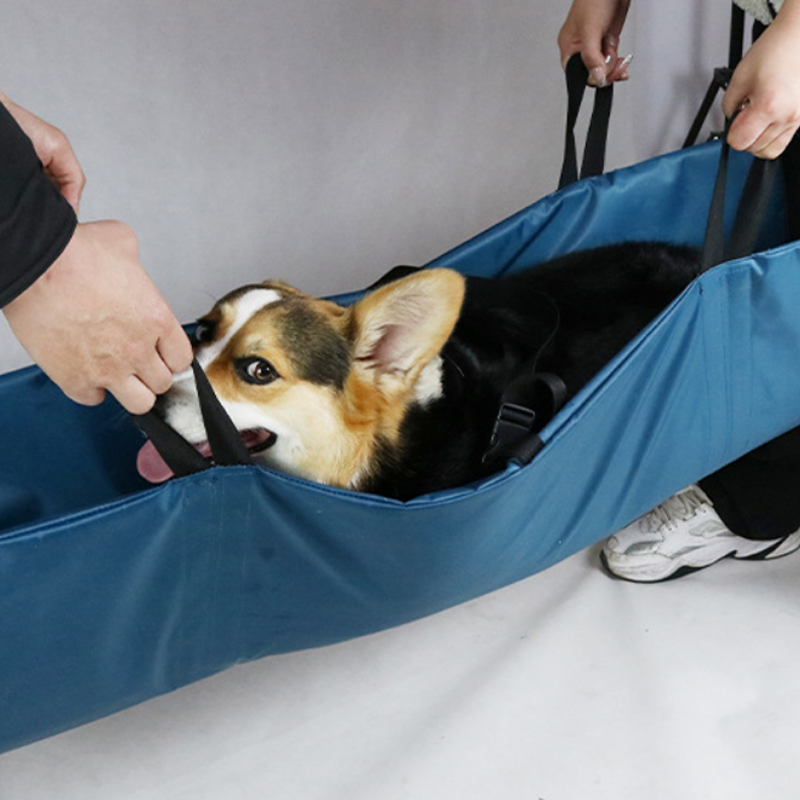 Amazon's new pet stretcher animal bite prevention and rescue stretcher pet foldable portable emergency stretcher
