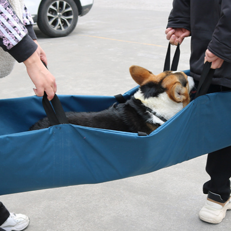 Amazon's new pet stretcher animal bite prevention and rescue stretcher pet foldable portable emergency stretcher
