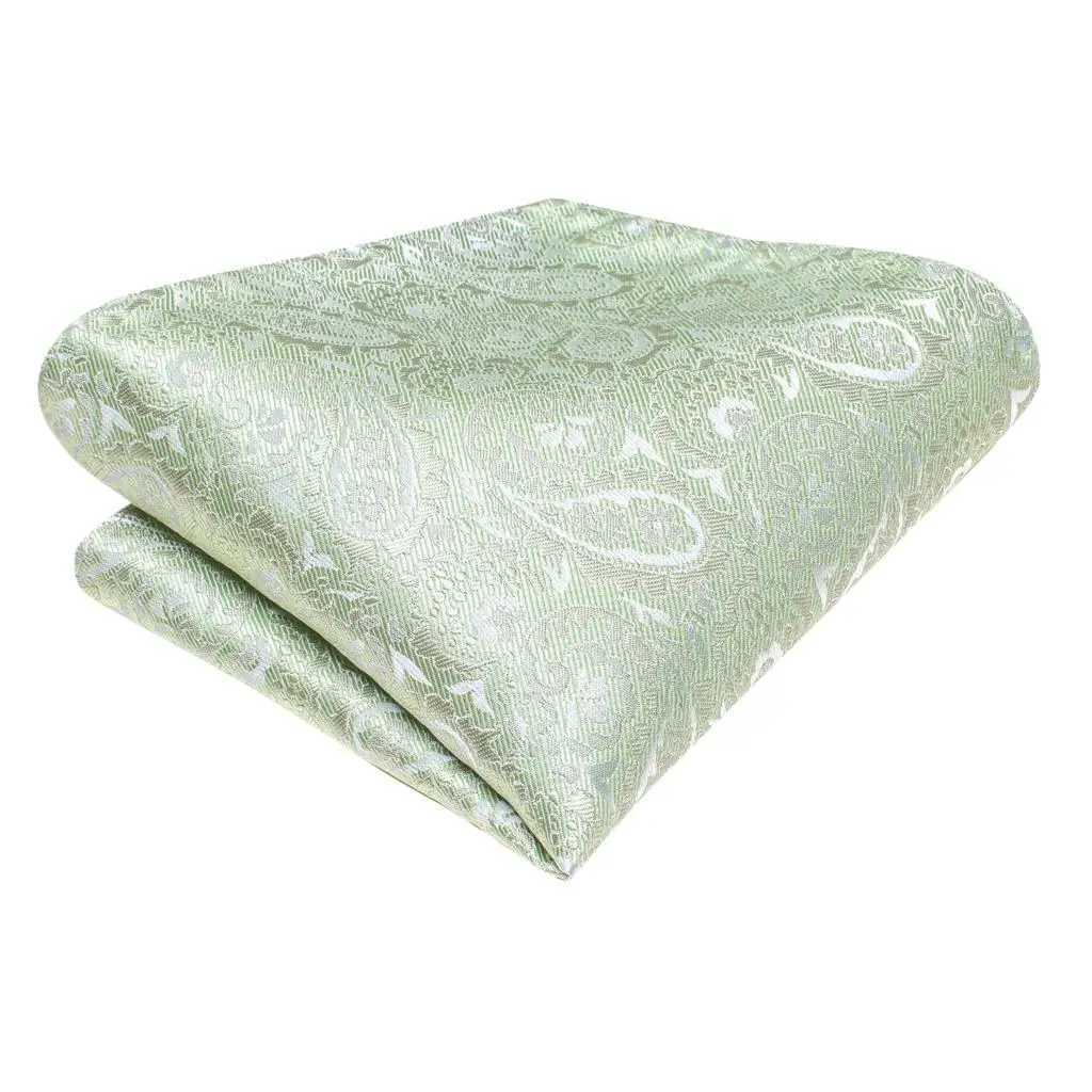Sage Green Paisley 2022 New Fashion Brand Ties for Men Wedding Party Necktie Set Handky Cufflinks Gift Wholes Hi-Tie X2504071