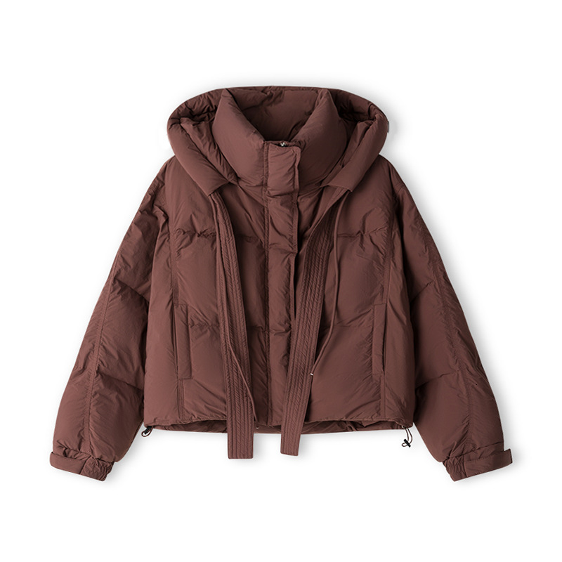 Puffer Jacket Korean Version Autumn and Winter Korean Version Down Cotton Jacket Womens Short Style Hooded Thick Fashion Small Cotton Jacket