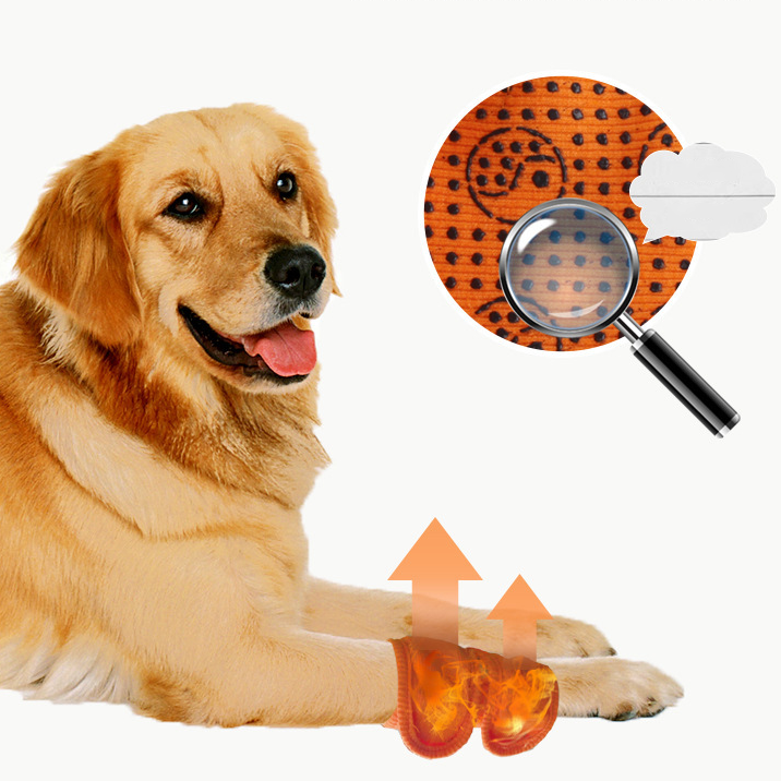 Hallowmas pet knee guard dog after joint leg guard recovery strap brace leg warmer