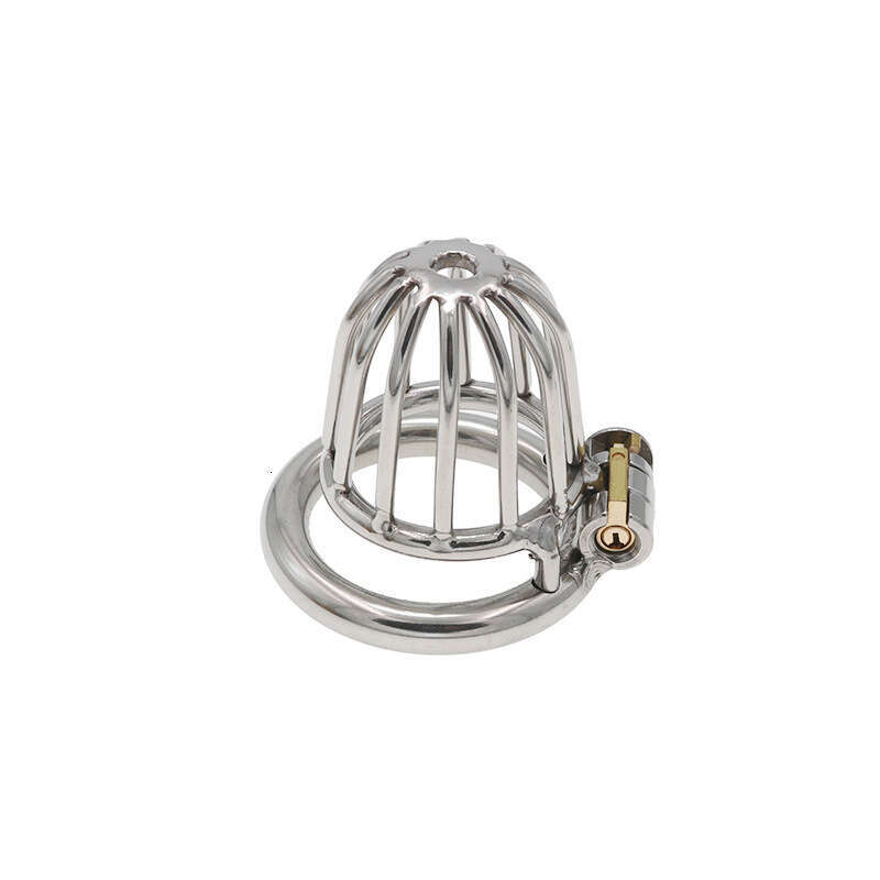 Qiqu Stainless Steel Chastity Lock Penis Cage Binding Alternative Sexual Tools Passionate Lower Body Training Adult Toys