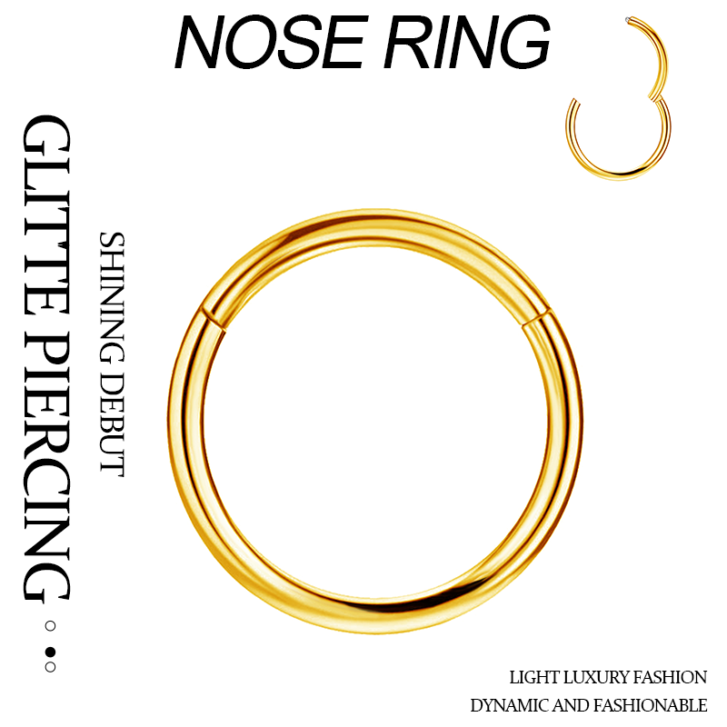 TUPMI Titanium Nose Rings Hoops 16G Hinged Nose Piercing Hoop G23 Septum Click Nose Rings Lip Rook Lobe Tragus Helix Daith Conch Cartilage Hoop Earrin