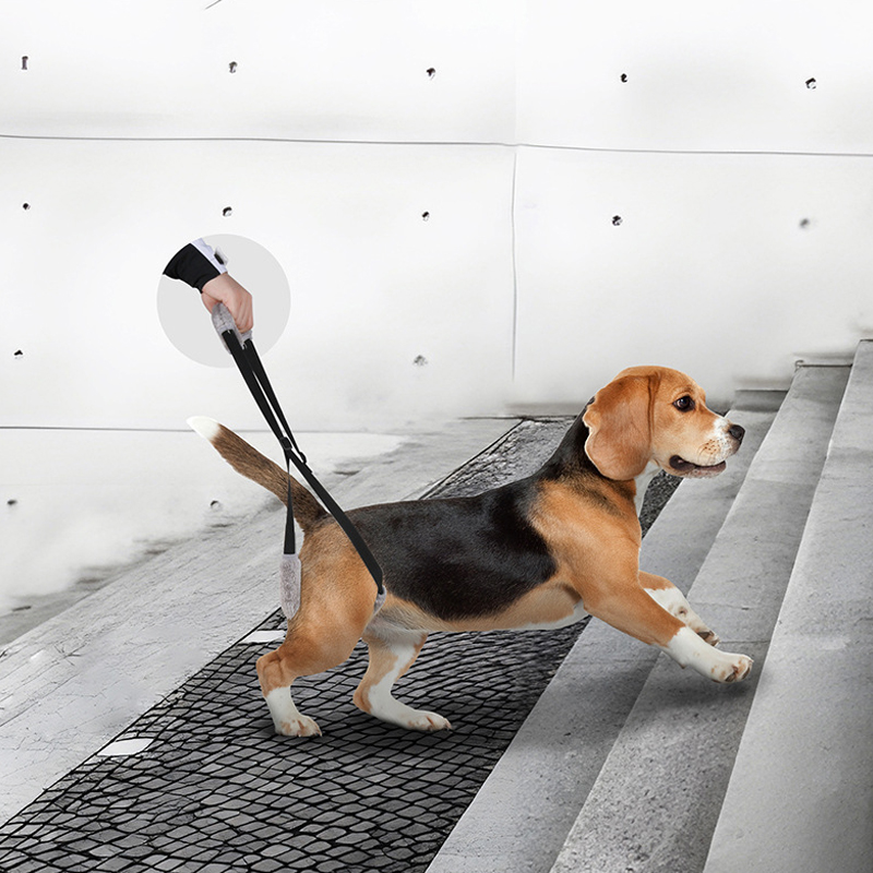 New pet portable power assist belt dog stair assist belt pet lifting rehabilitation training belt