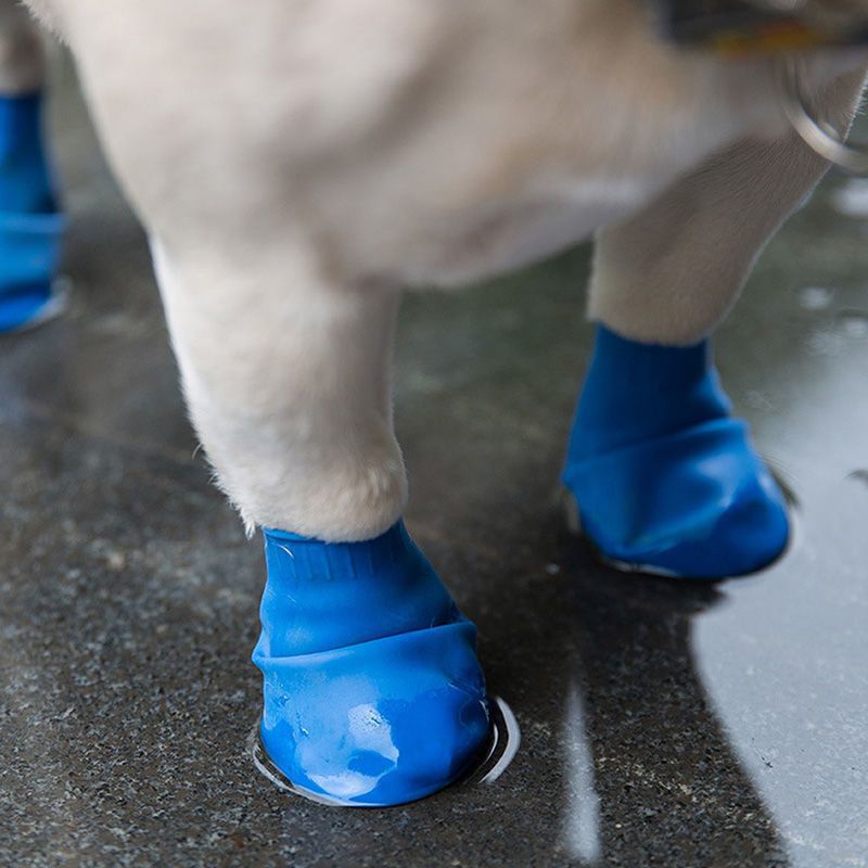 Halloween Dog Rain Shoes Rubber Waterproof Shoes Cover corgi Golden Hair Going Out Dirty Resistant Shoes Summer Rainy Pet Rain Shoes Supplies 10 blist