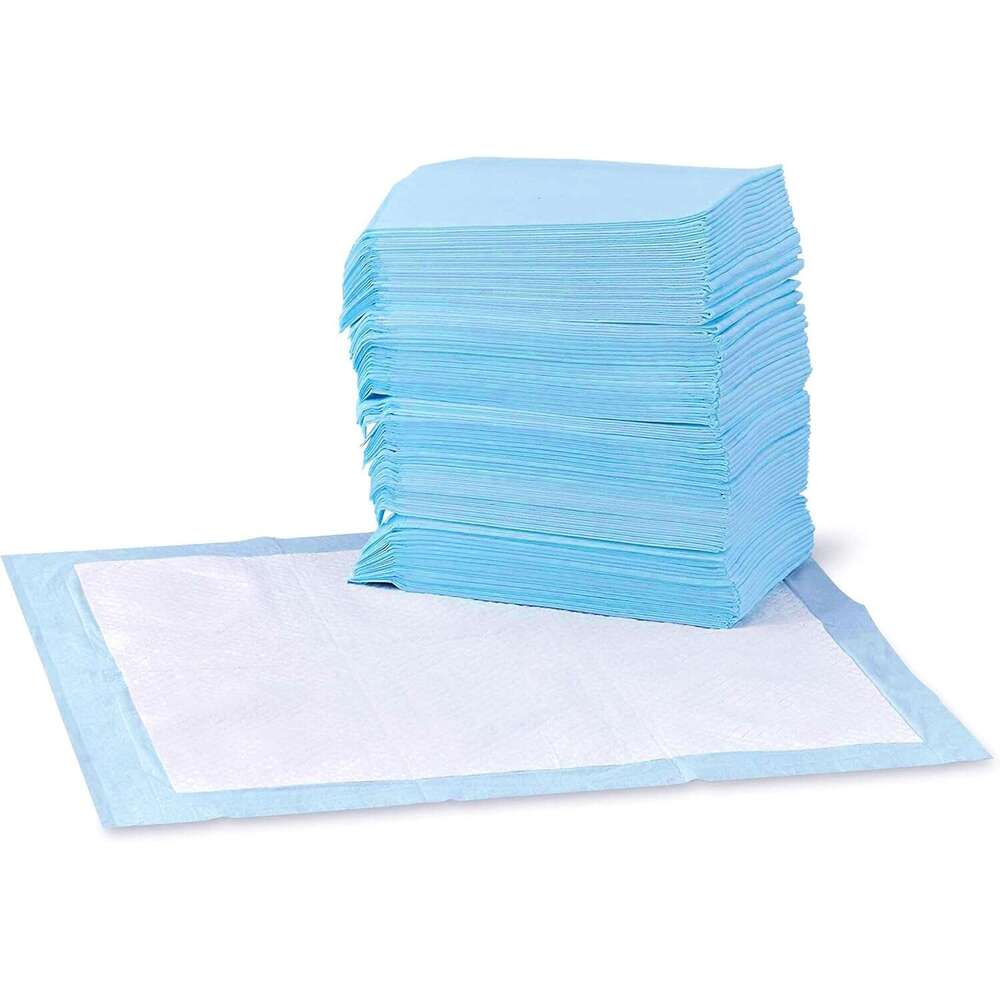 Basics Dog and Puppy Pee Pads with Leak-Proof Quick-Dry Design for Potty Training, Standard Absorbency, Regular SA22
